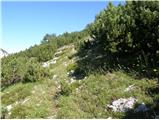 Plaz Črlovec - Vrtaški vrh